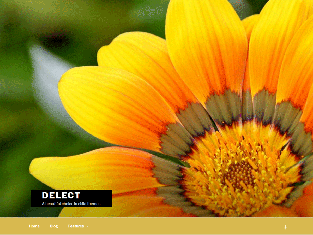 Delect theme screenshot