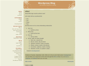 diary-lite theme screenshot