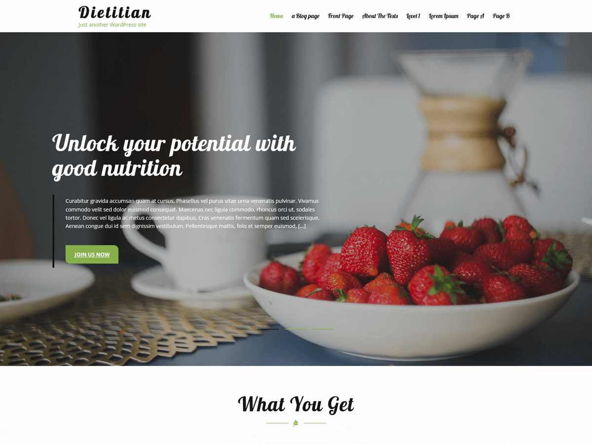 Dietitian Lite theme screenshot