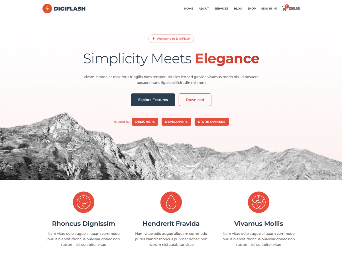 DigiFlash theme screenshot