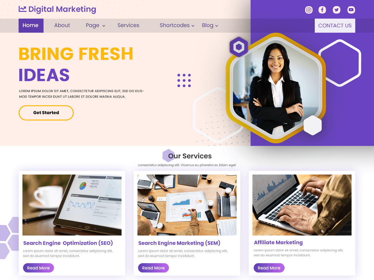 Digital Marketing Expert theme screenshot