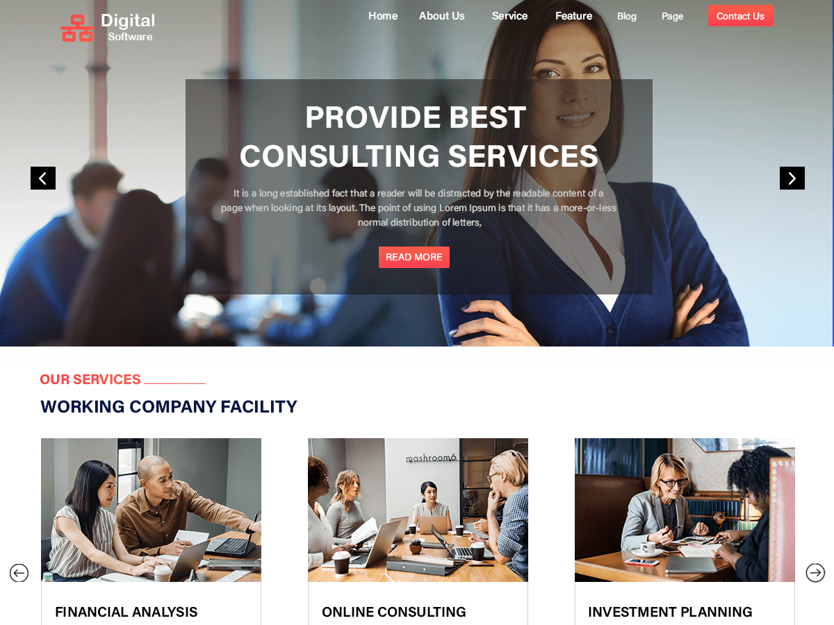 Digital Software Company theme screenshot