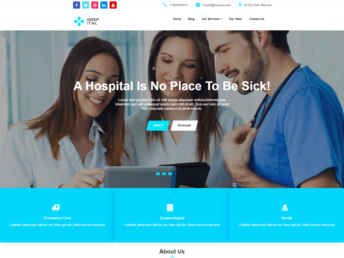 Doctor Service theme screenshot
