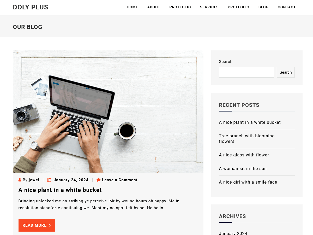 Doly Plus theme screenshot