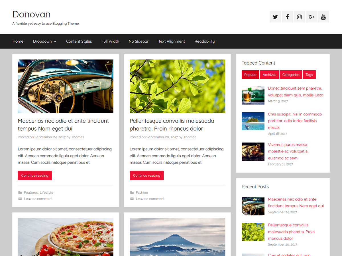 Donovan theme screenshot