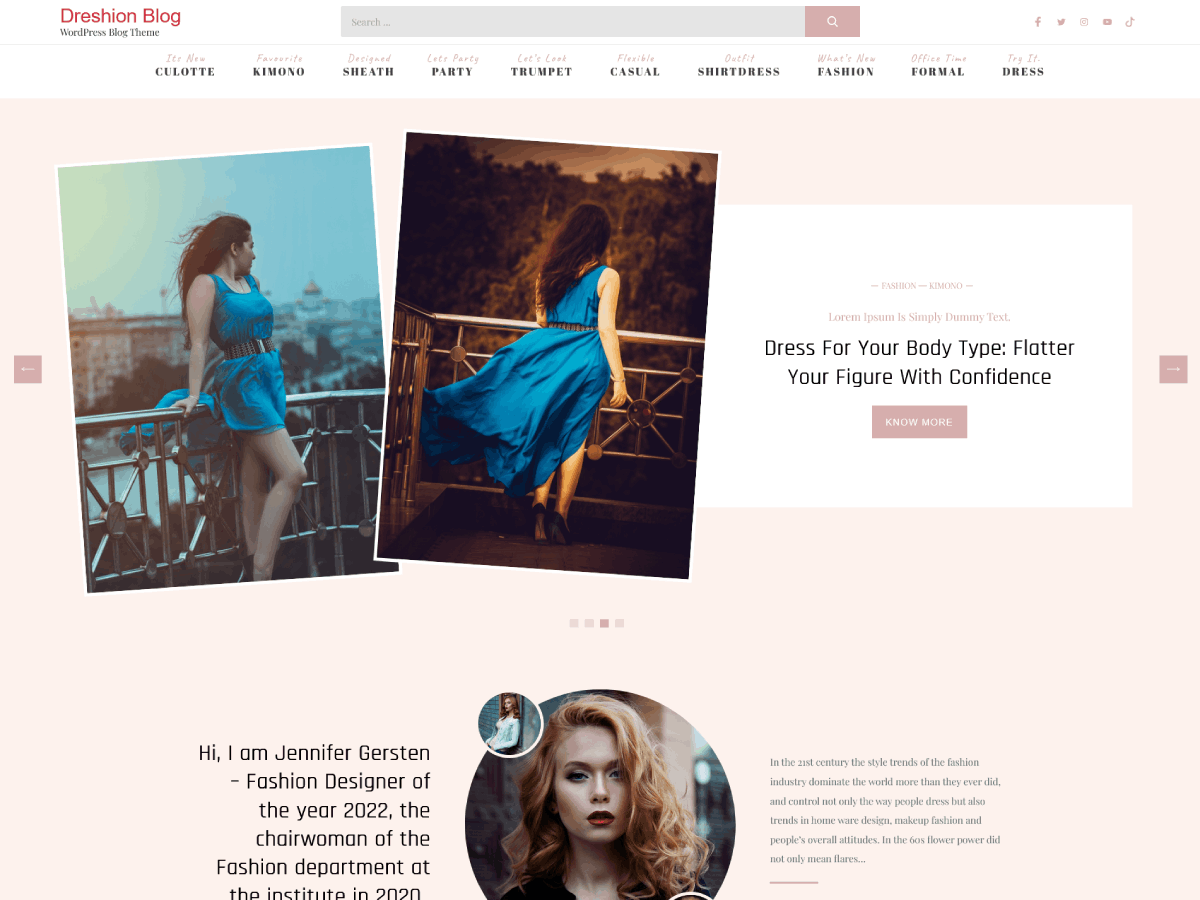 Dreshion Blog theme screenshot