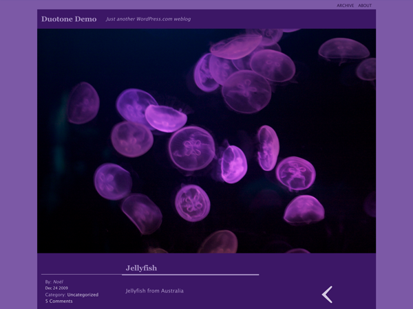 Duotone theme screenshot