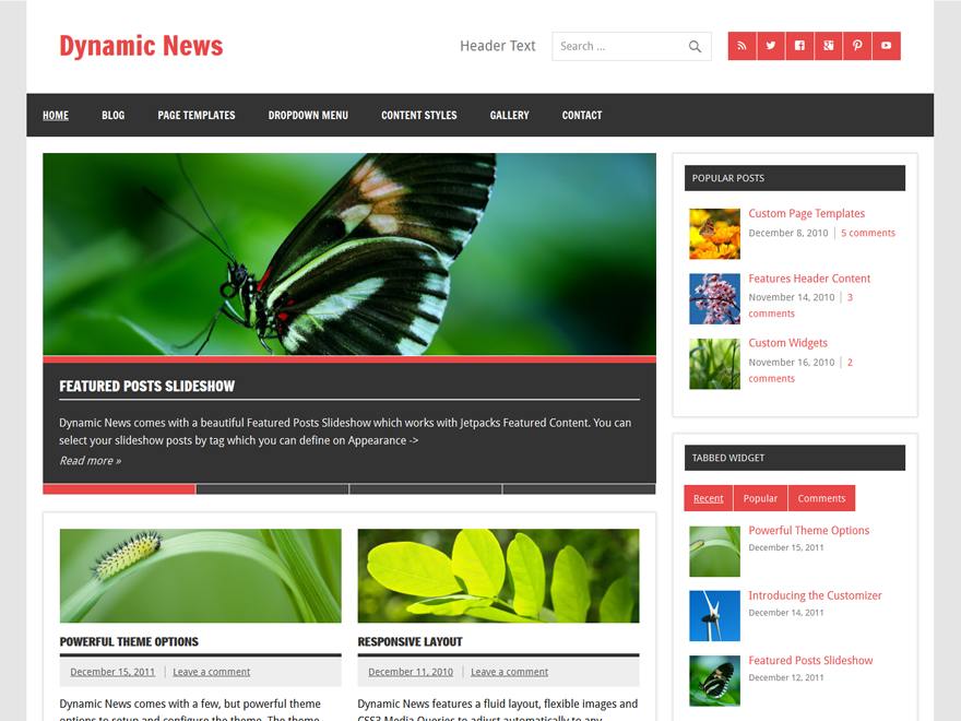 Dynamic News Lite theme screenshot