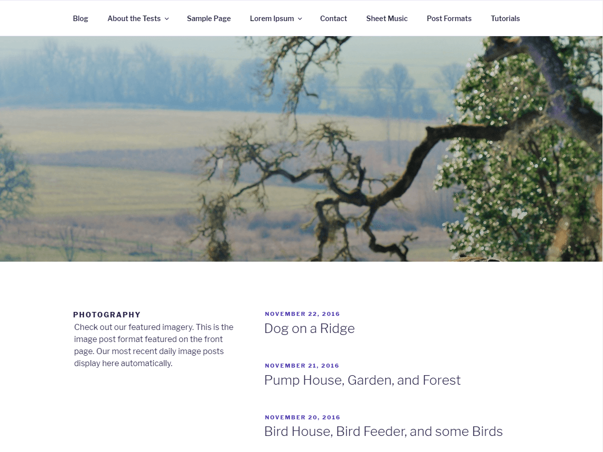 Dynamic Seventeen theme screenshot