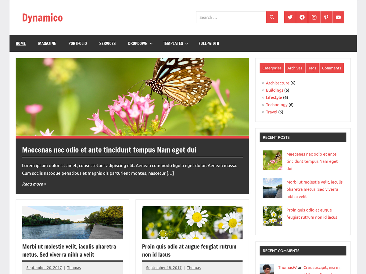 Dynamico theme screenshot