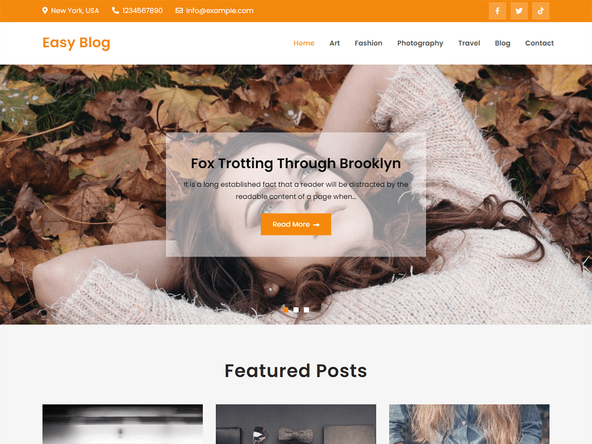 Easy Blog theme screenshot