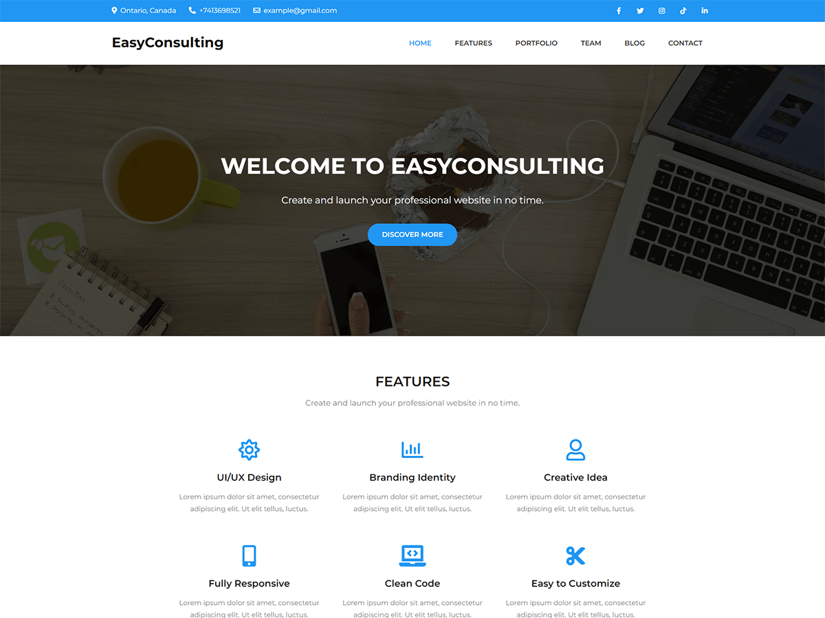 EasyConsulting theme screenshot