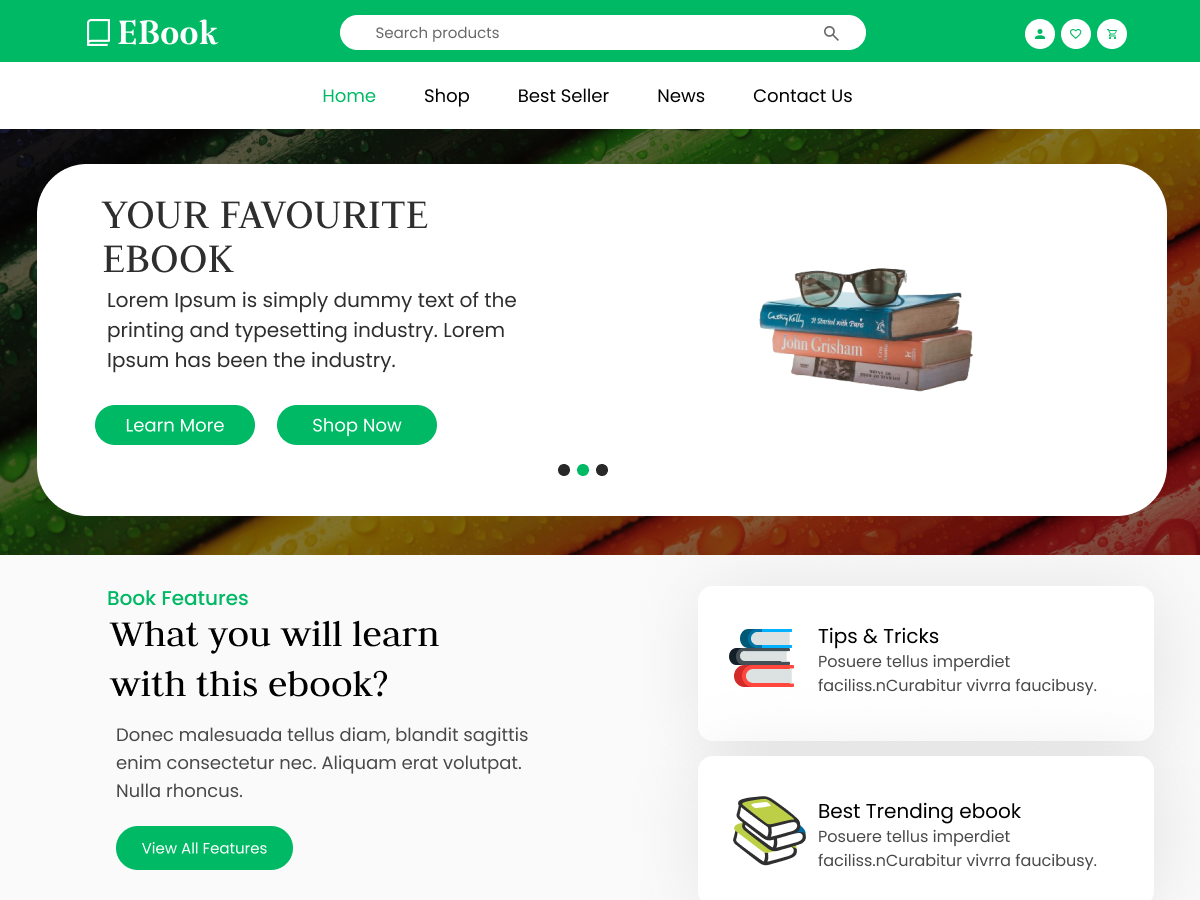 Ebooks Collection theme screenshot