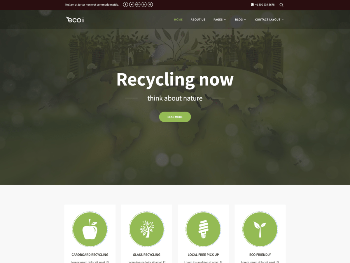 Ecoi Pro theme screenshot