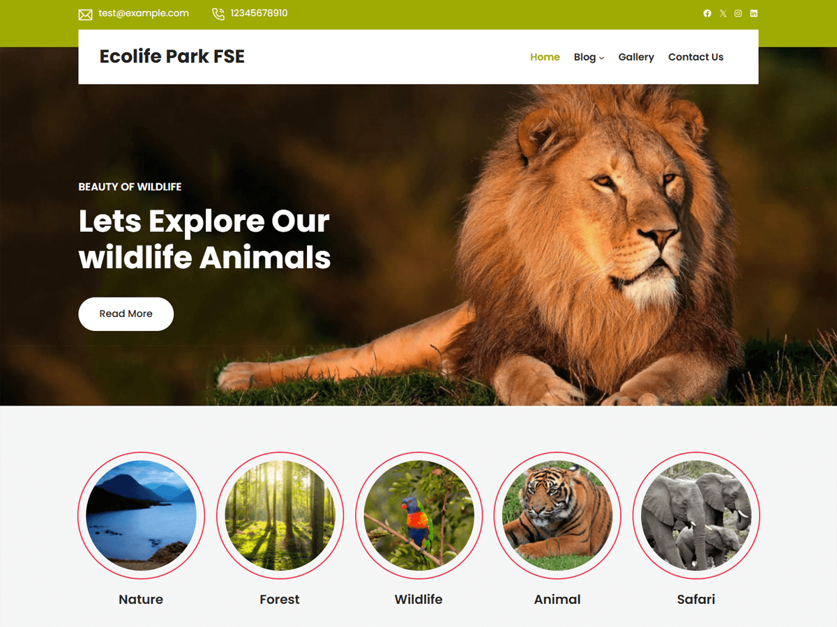 Ecolife Park FSE theme screenshot