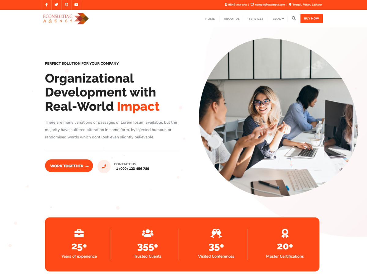 eConsulting Agency theme screenshot