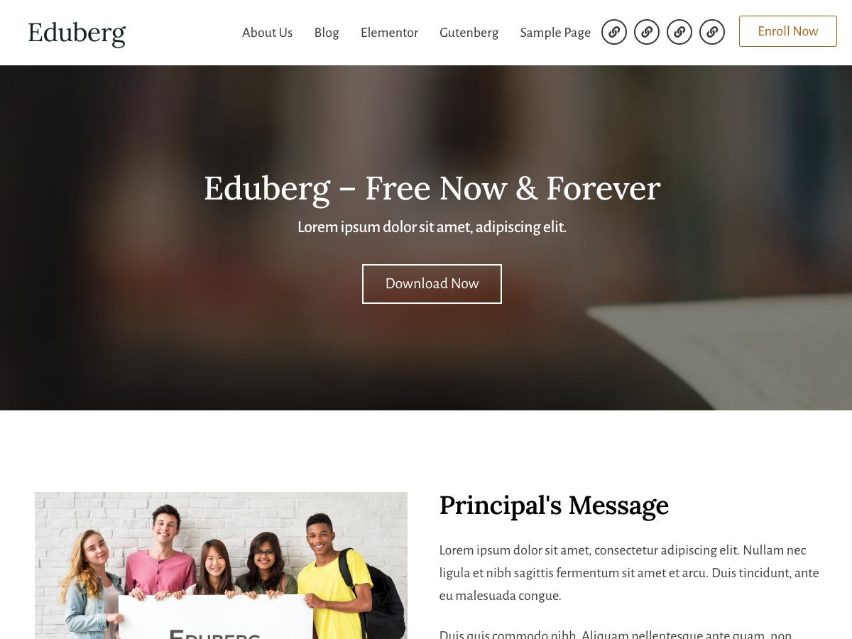 Eduberg theme screenshot