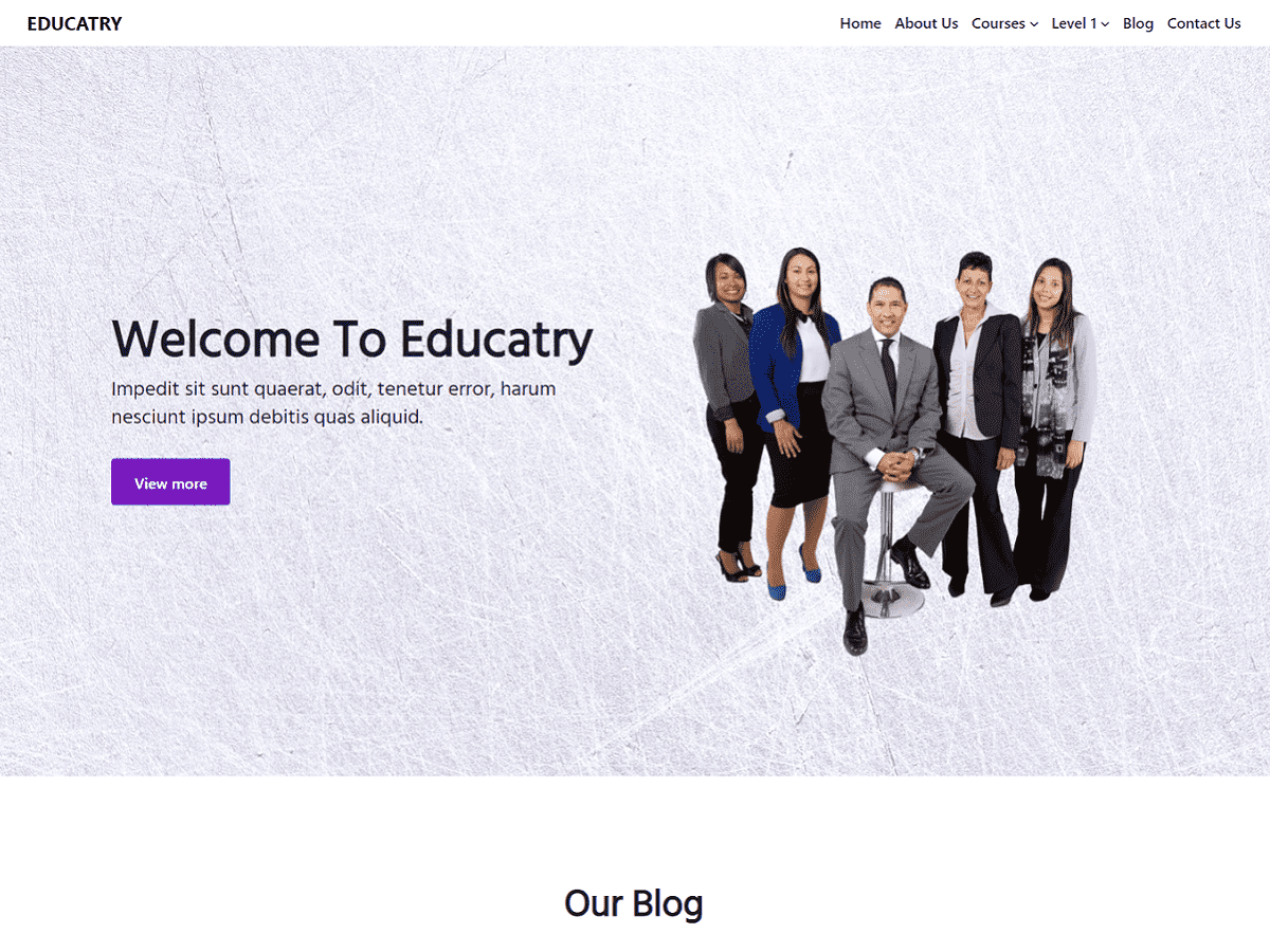 educatry theme screenshot