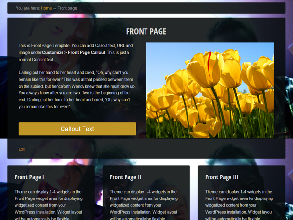 Eino theme screenshot