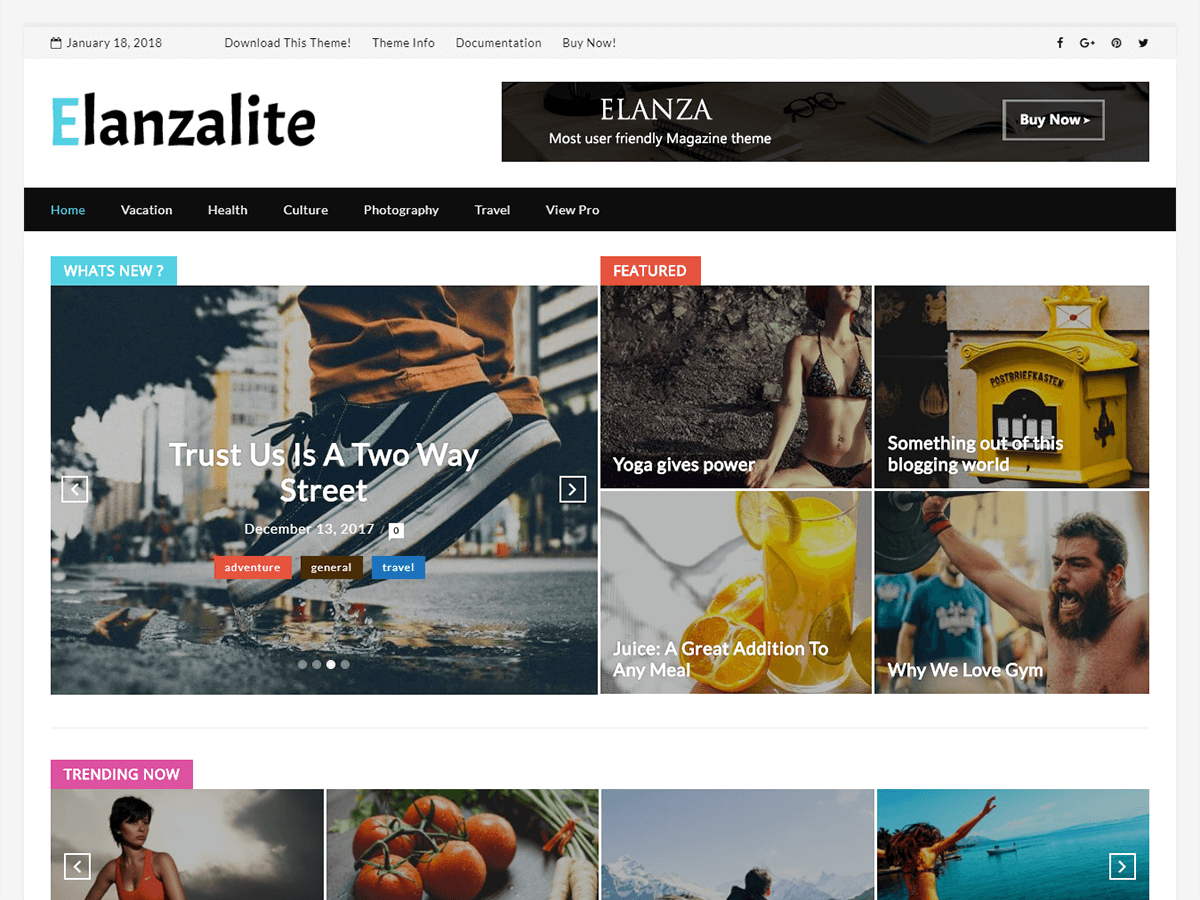 ElanzaLite theme screenshot