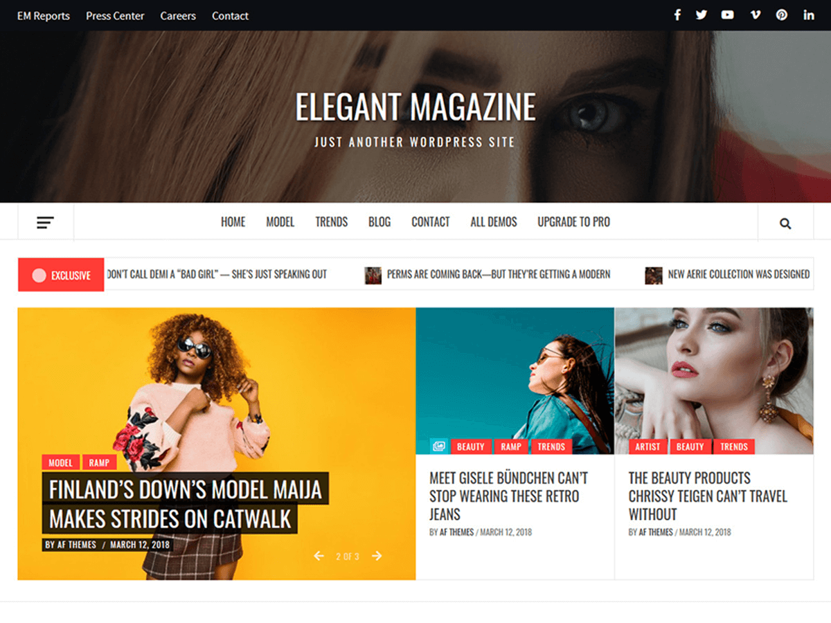 Elegant Magazine theme screenshot