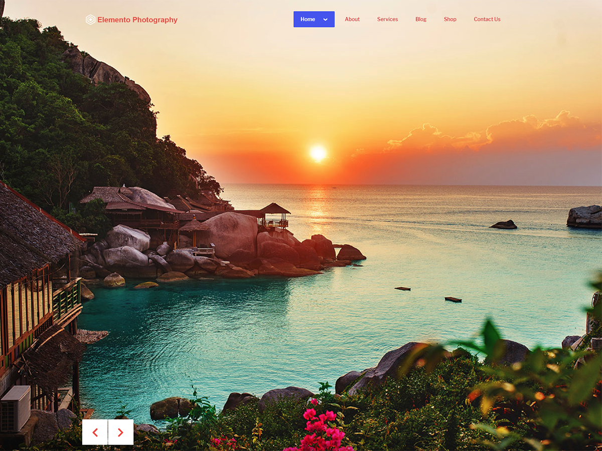 Elemento Photography theme screenshot