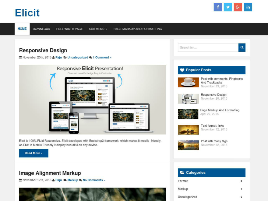 Elicit theme screenshot