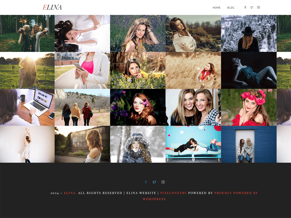 Elina Lite Portfolio Gallery theme screenshot