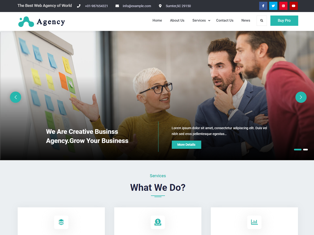 Elite Business Agency theme screenshot