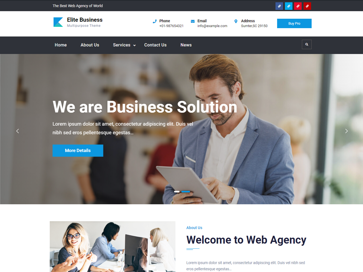 Elite Business theme screenshot