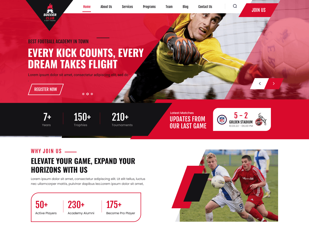 Elite Soccer Club theme screenshot