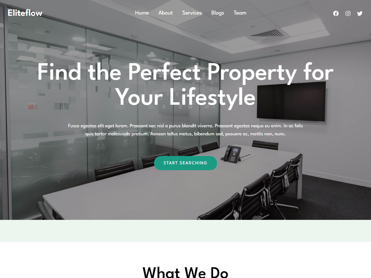 Eliteflow theme screenshot