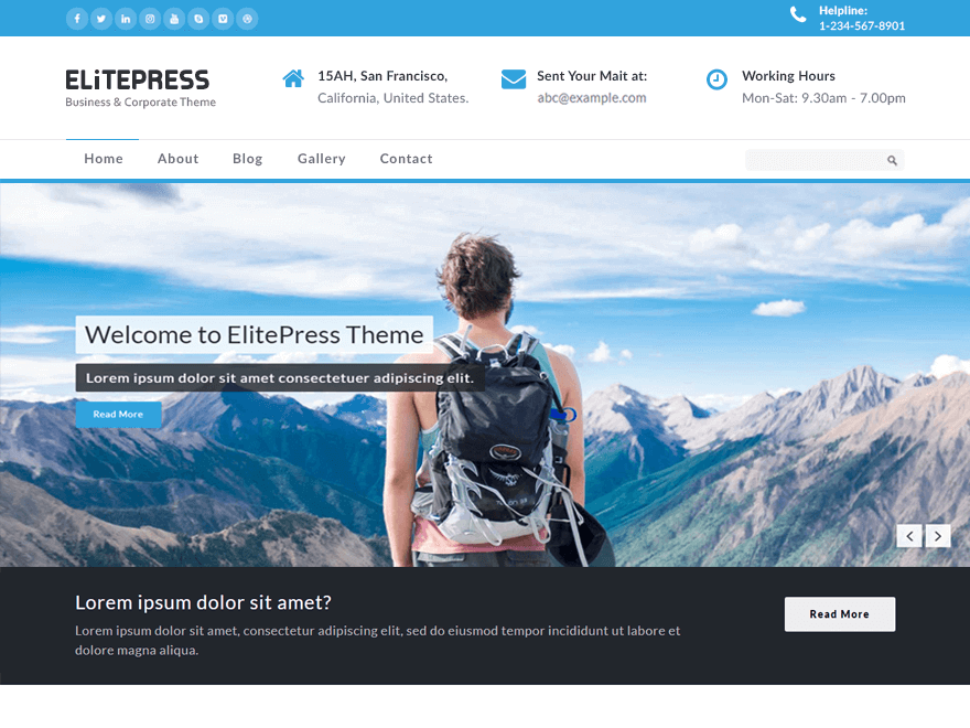 ElitePress theme screenshot