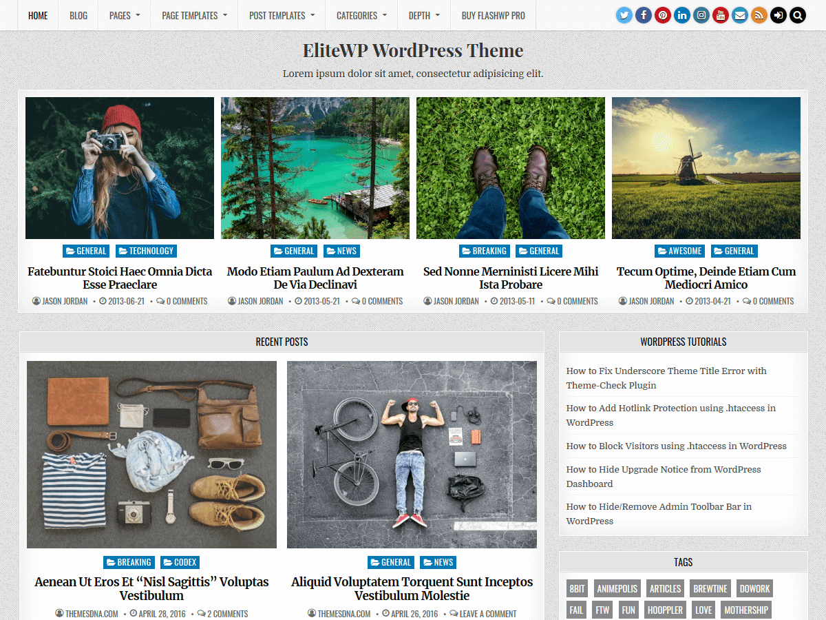 EliteWP theme screenshot