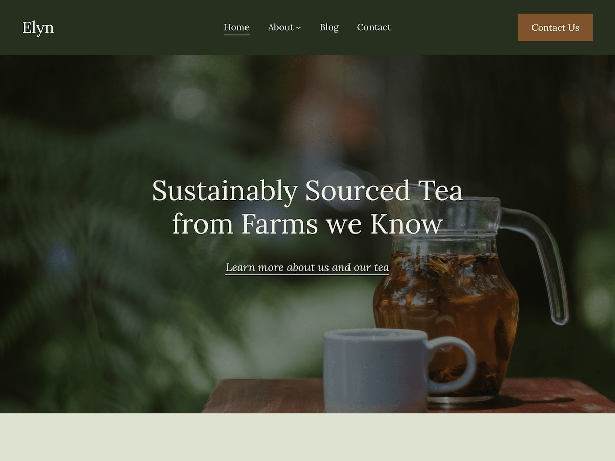 Elyn theme screenshot