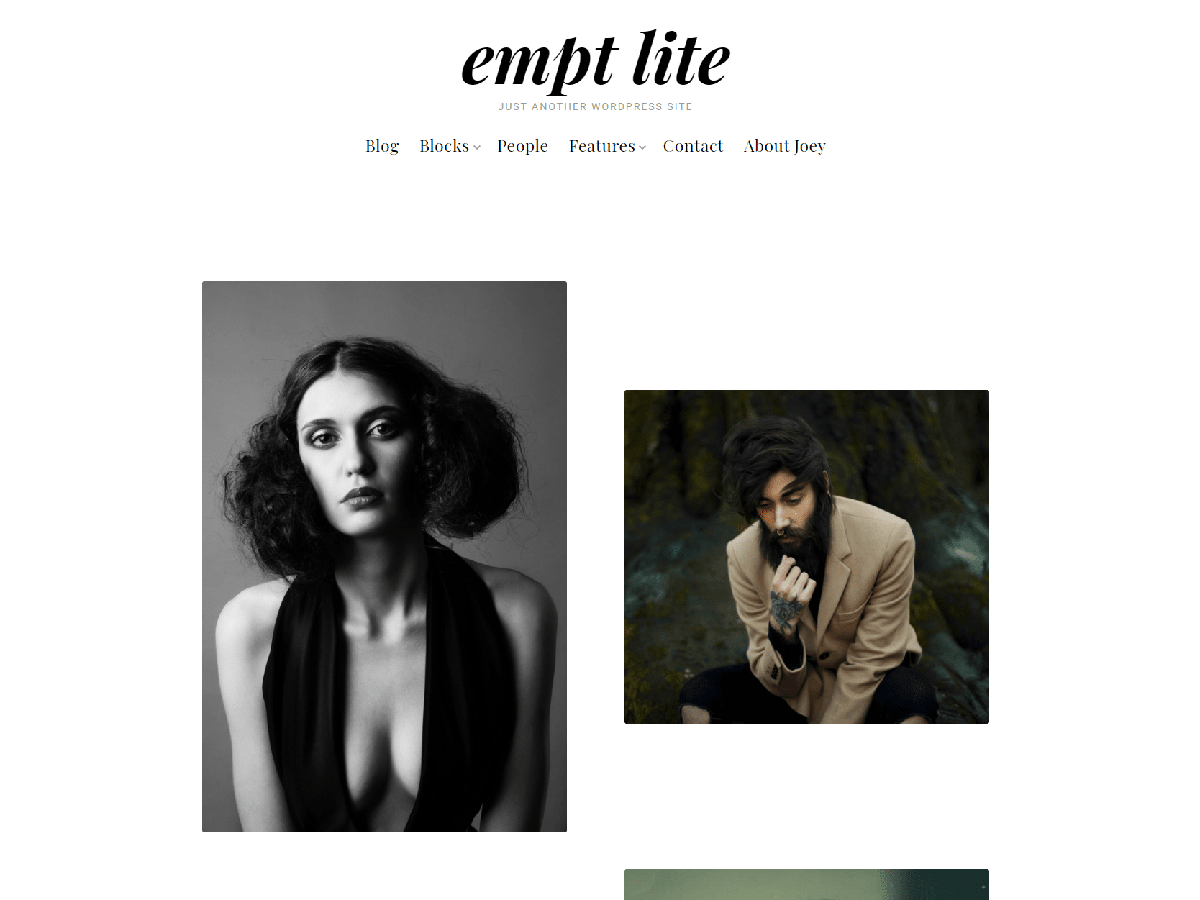 Empt Lite theme screenshot