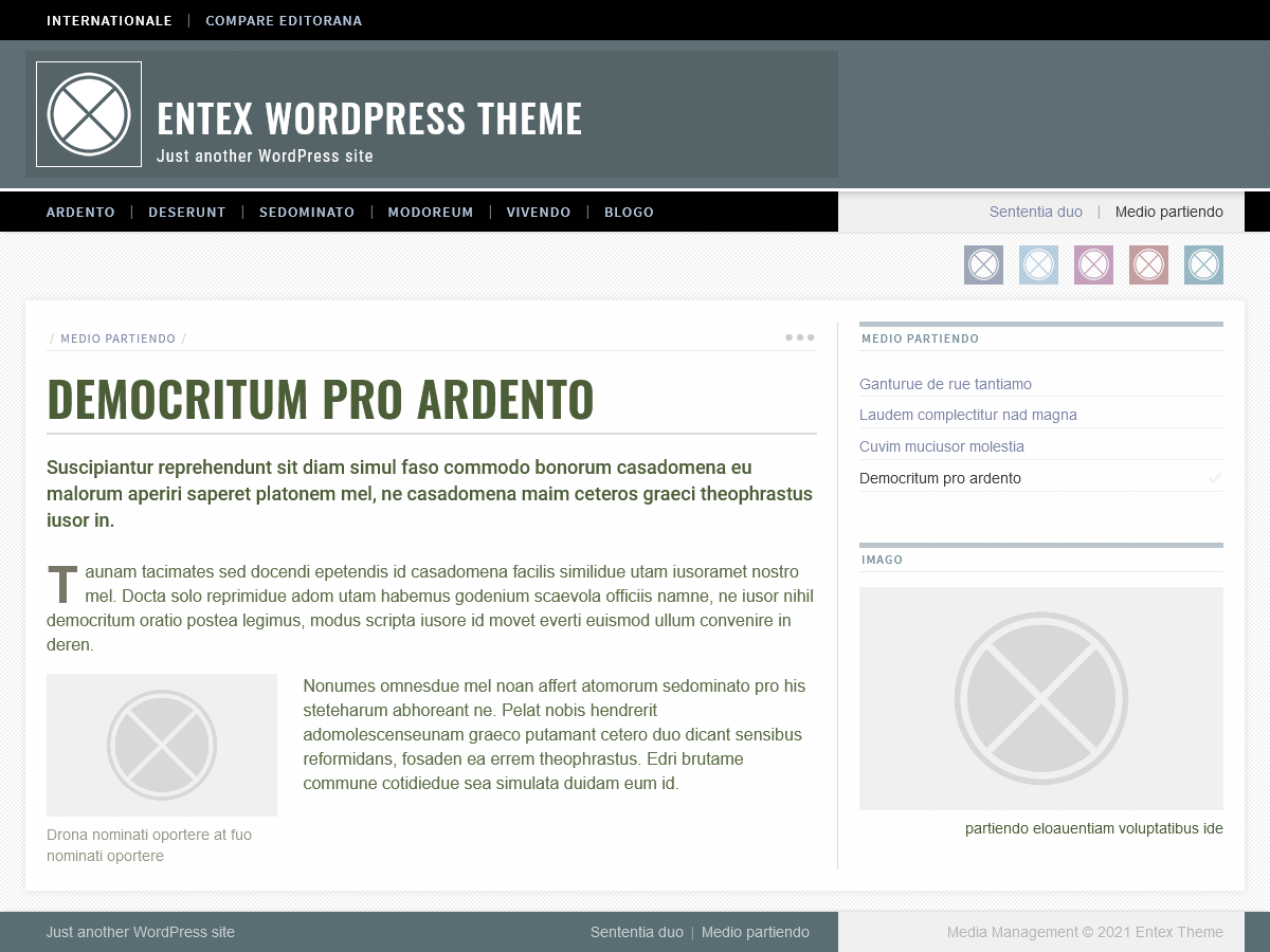 Entex theme screenshot