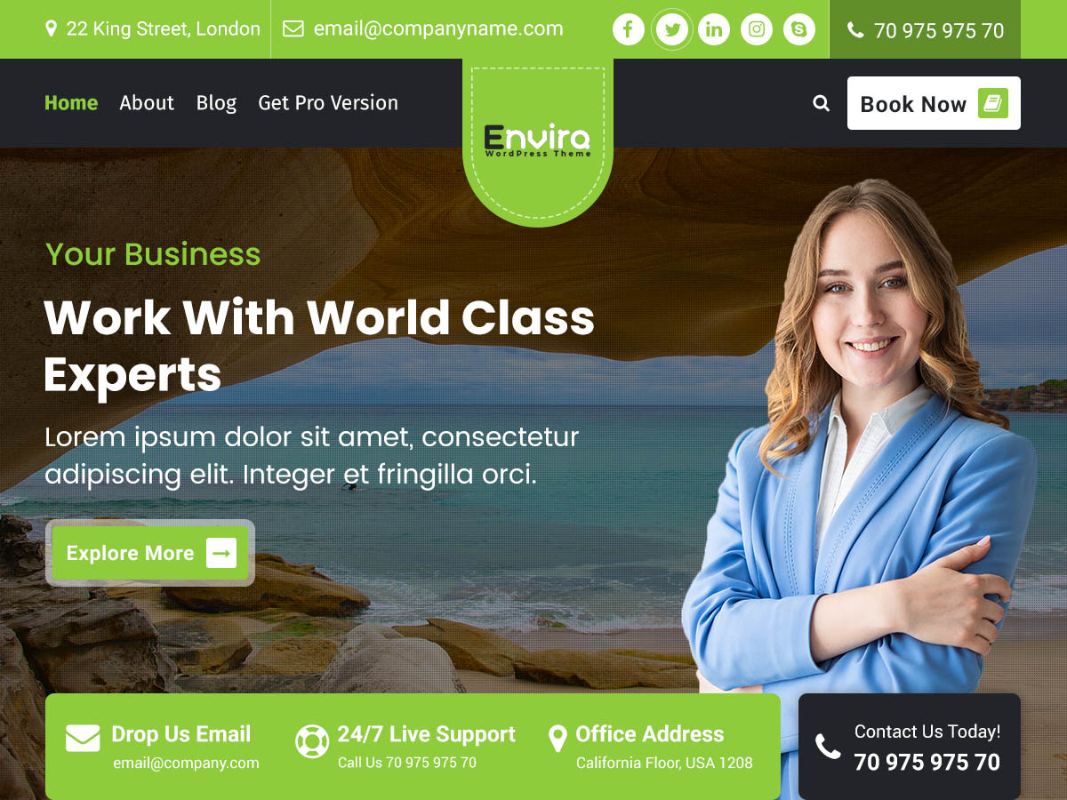 Envira theme screenshot