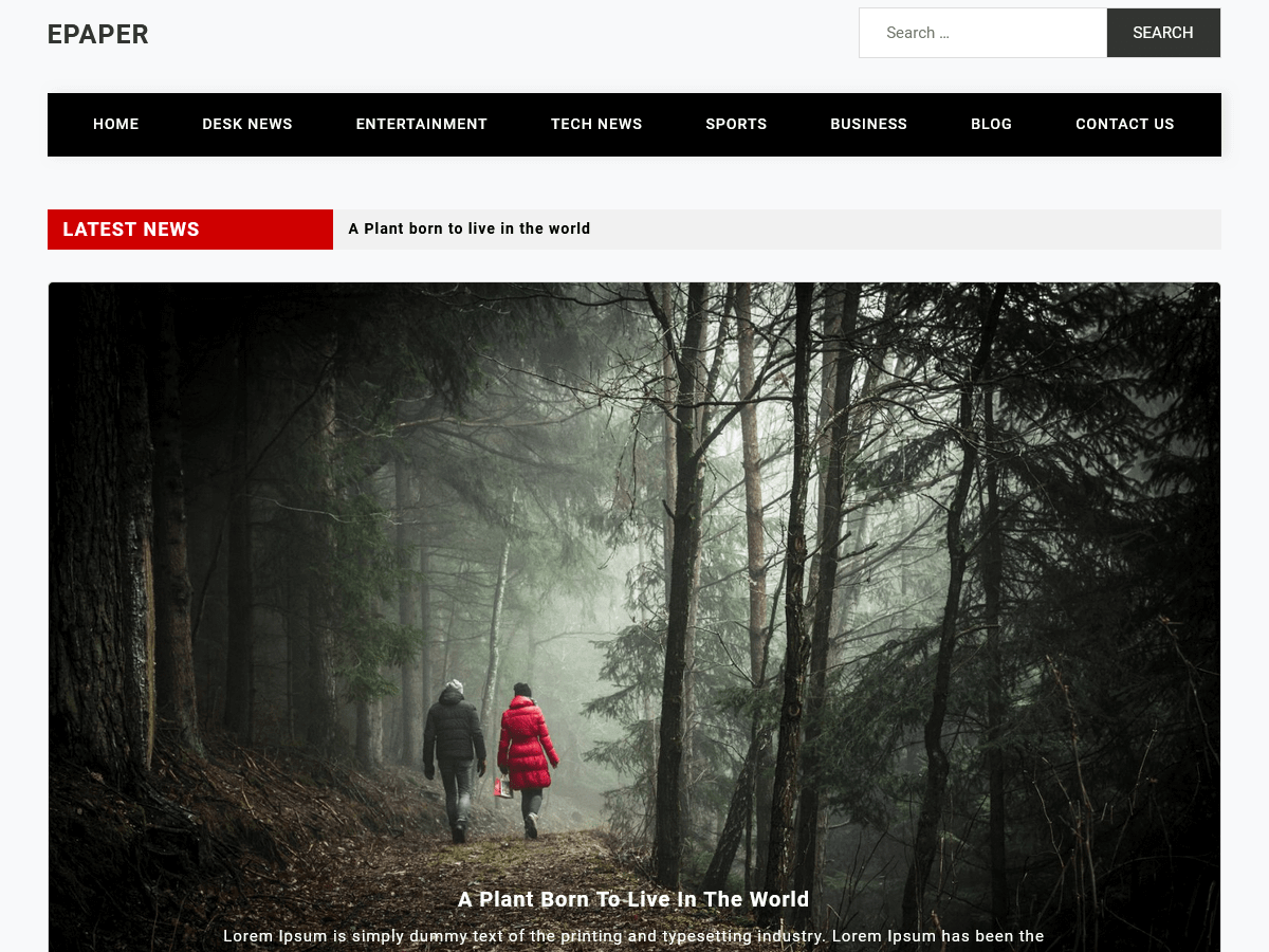 Epaper theme screenshot