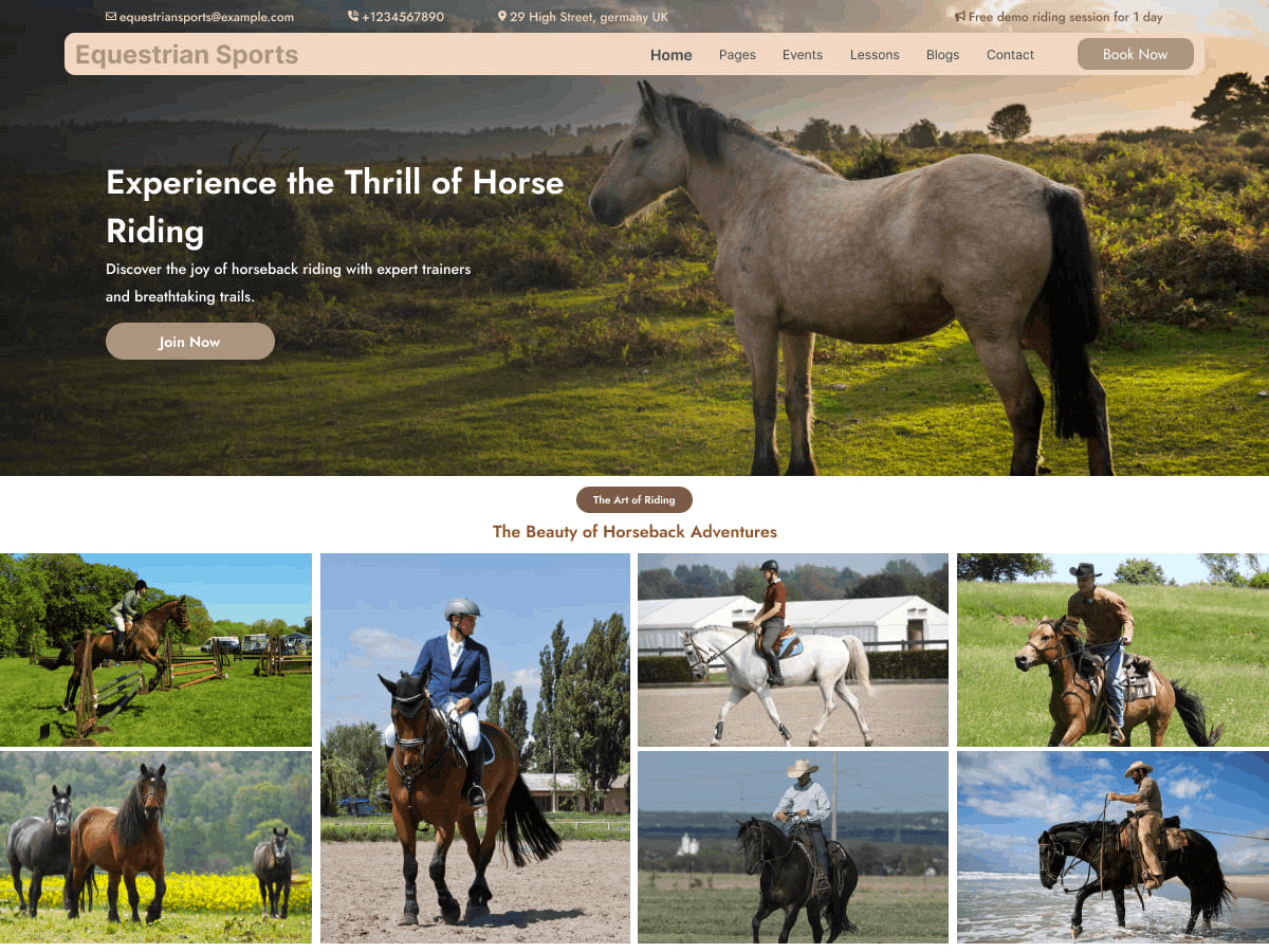 Equestrian Sports theme screenshot