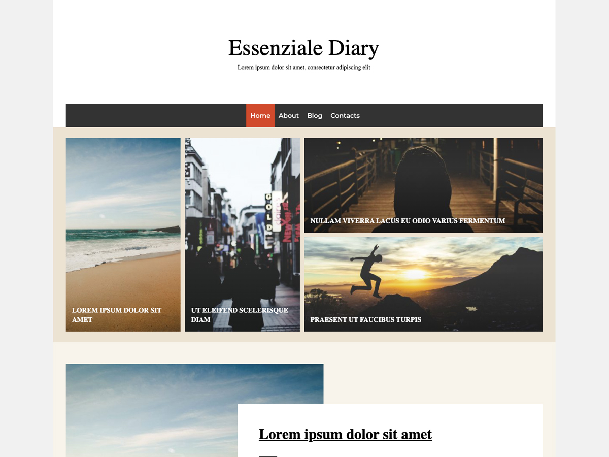 Essenziale Diary theme screenshot
