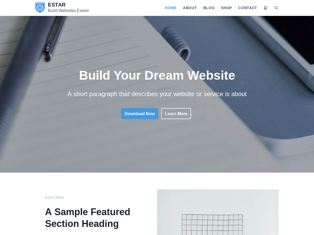 eStar theme screenshot