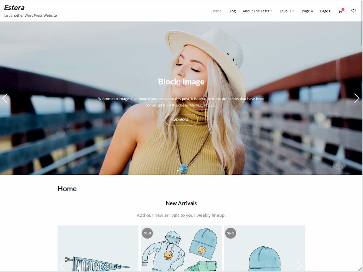Estera theme screenshot