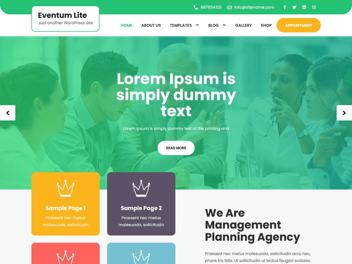 Eventum Lite theme screenshot