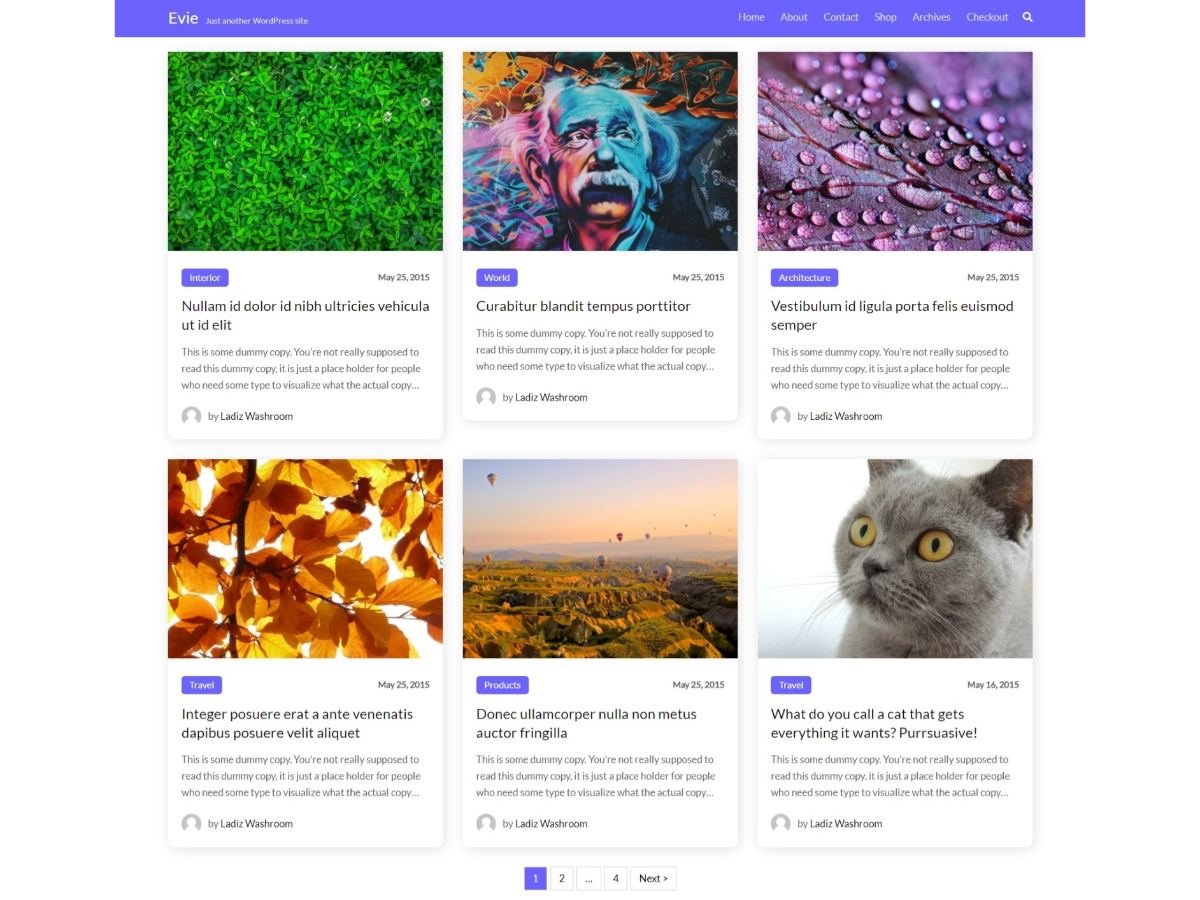 EvieWP theme screenshot