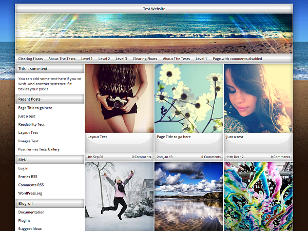 Exact theme screenshot