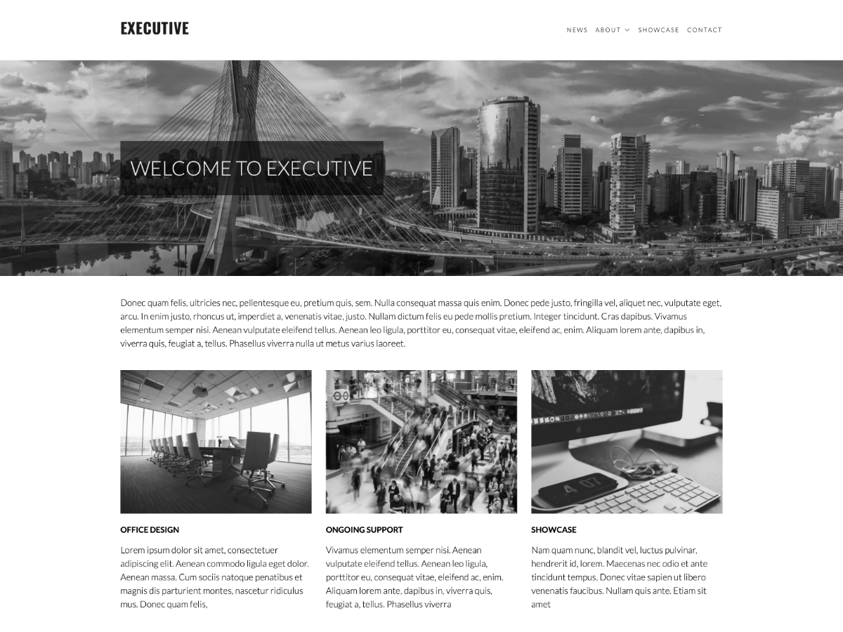 Executive theme screenshot