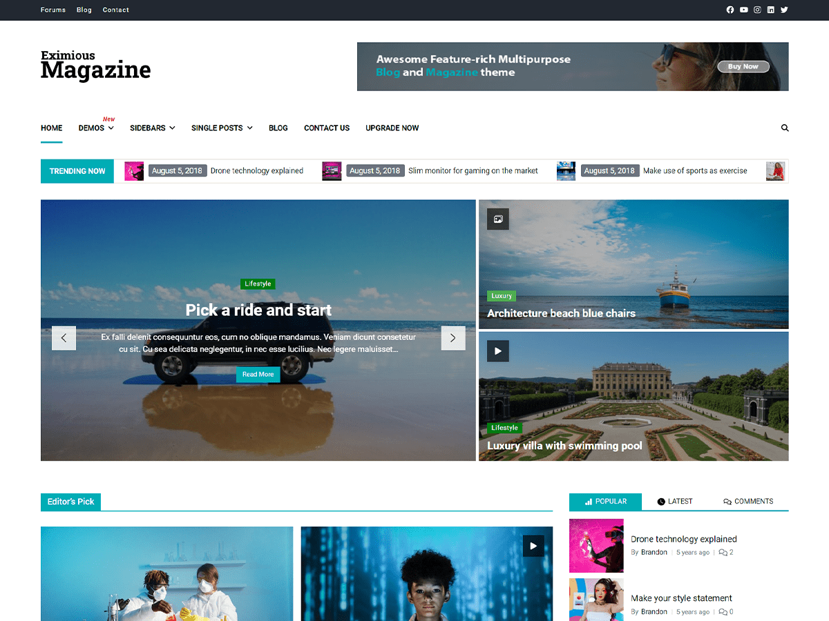 Eximious Magazine theme screenshot