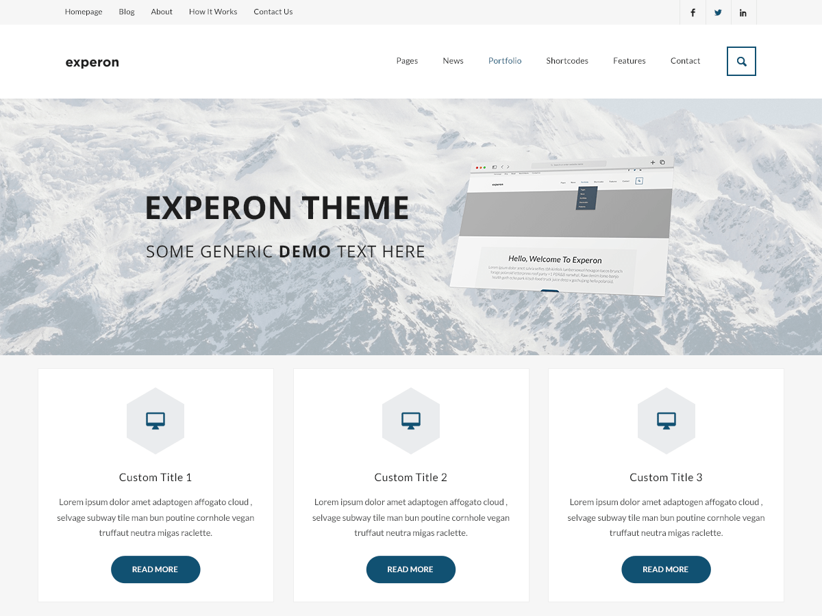 Experon Biz theme screenshot