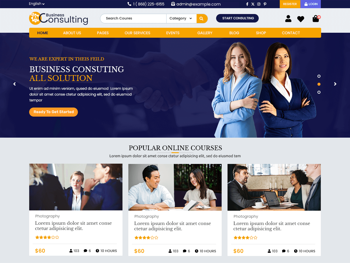 Expert Business Consultant theme screenshot